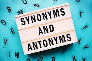 Embrace Synonyms & Similar Words